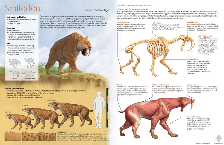 Michael Soong Smilodon 1