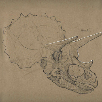Michael Soong Triceratops